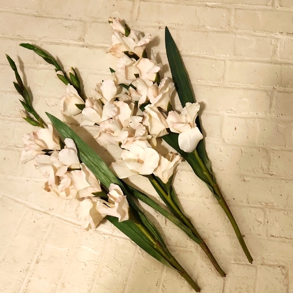 Elegant Cream Faux Gladiolus Stems - Picture 1 of 6